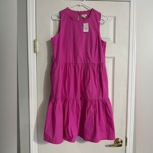 NWT J.Crew Dress